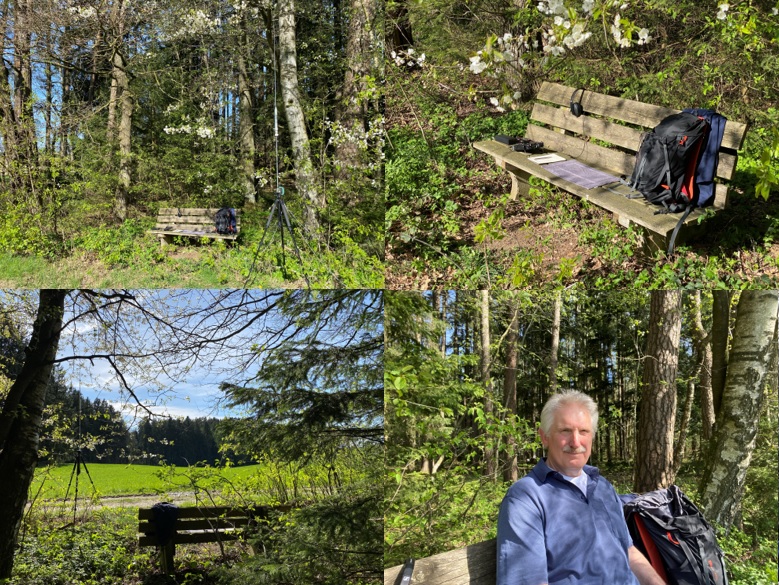 Pröllinger-Wald.jpg (319 kBytes)